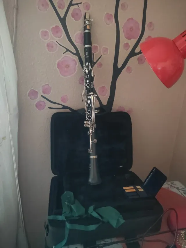 Clarinete con funda