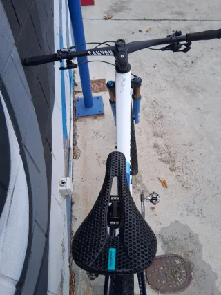 Canyon Lux World Cat