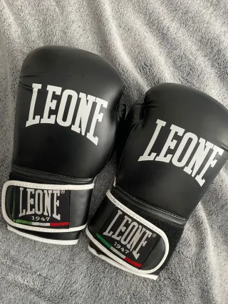 Guantes de boxeo leone 12 oz