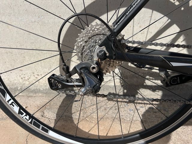 Bicicleta Ridley Carbono Talla Pequeña