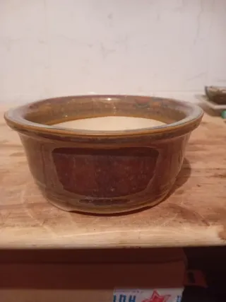 Macetas de cerámica para bonsái