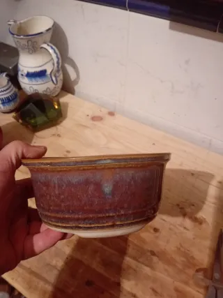 Macetas de cerámica para bonsái