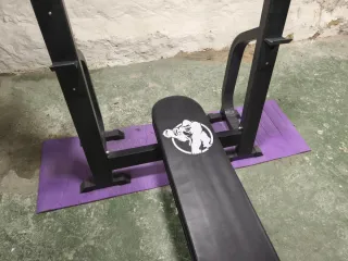 Banco de pesas profesional