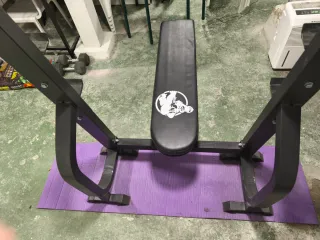 Banco de pesas profesional