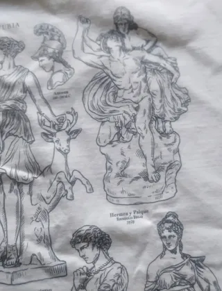 Camiseta Furia Ilustrada Estilo Clásico M