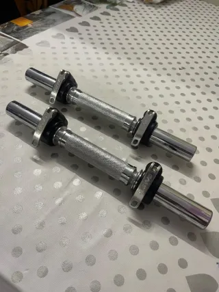 2 Barras de pesas Salter