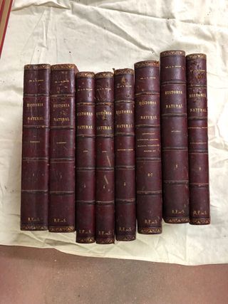 libros de derecho historia arquitectura 1900