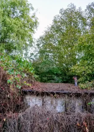 Limpieza y mantenimientos.