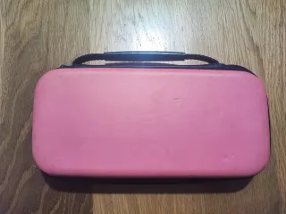 Nintendo Switch Lite Rosa + Caricatore + fodera