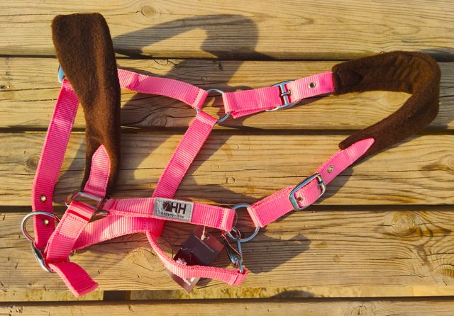 CABEZADAS SURTIDAS ENTRE 15 Y 25€ SEGÚN MODELO NEW