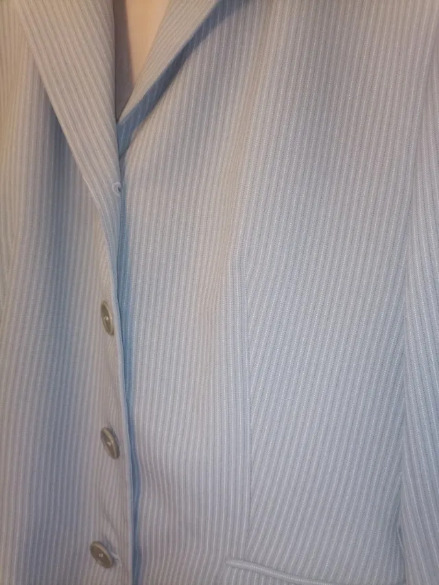 Americana Zara Rayas Finas Azul