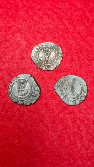 Blancas Reyes Católicos