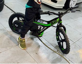 Bicicleta Eléctrica IMR 14 100W