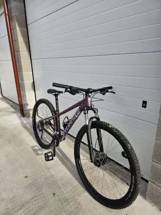 Specialized Rockhopper 29"
