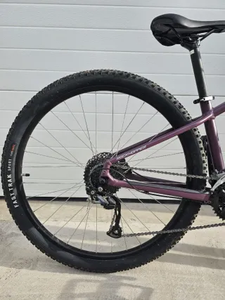 Specialized Rockhopper 29"