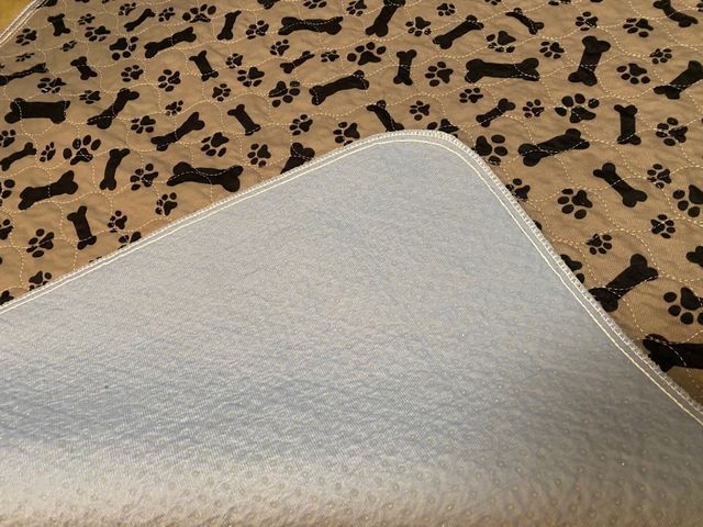 Traversa per cani con ossa e impronte