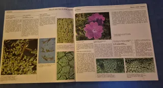 Microscopio Antiguo Años 70