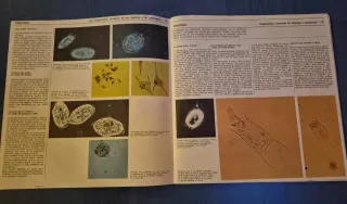 Microscopio Antiguo Años 70