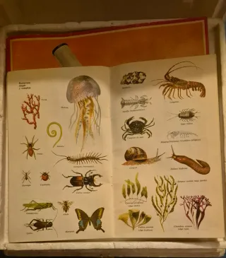 Microscopio Antiguo Años 70