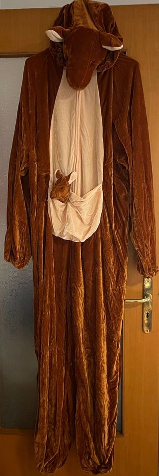 COSTUMI DI CARNEVALE PER ADULTO taglia unica