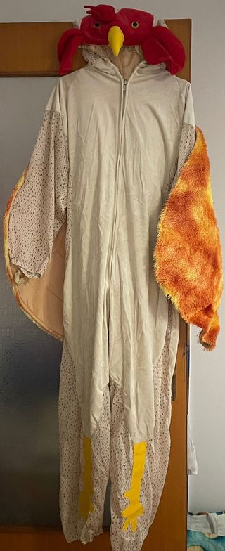 COSTUMI DI CARNEVALE PER ADULTO taglia unica