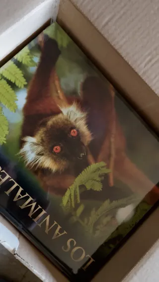 Los Animales, Protagonistas De Nuestra Tierra: ...