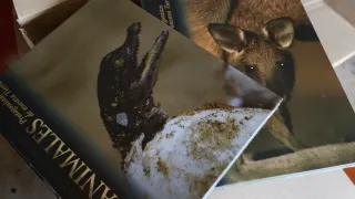 Los Animales, Protagonistas De Nuestra Tierra: ...