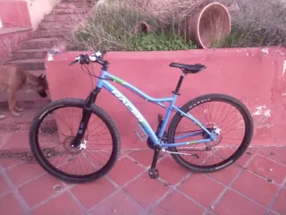 Bicicleta 29"