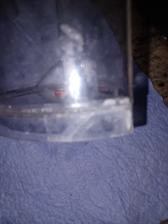 Cafetera Nespresso Krups