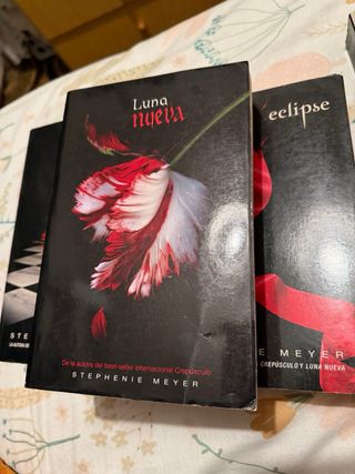 Crepúsculo (Saga Crepúsculo 1) (Spanish Edition)