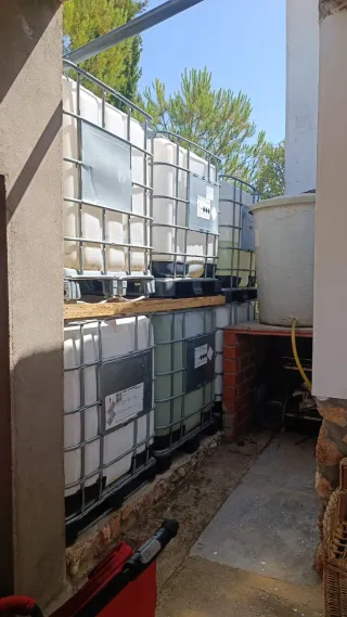 Finca Rústica olivar en Venta 8392 metros