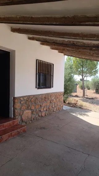 Finca Rústica olivar en Venta 8392 metros