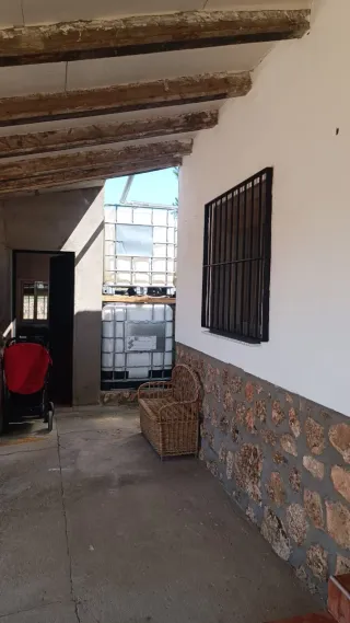 Finca Rústica olivar en Venta 8392 metros