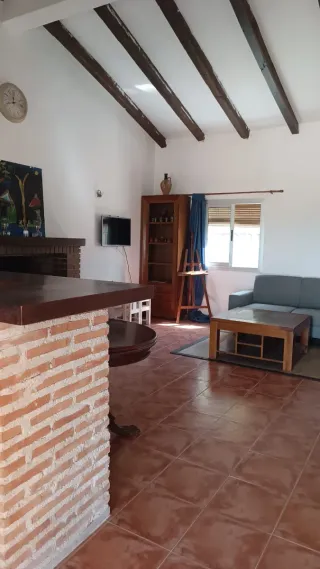 Finca Rústica olivar en Venta 8392 metros