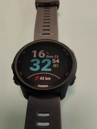 Garmin Forerunner 245 GPS Smartwatch