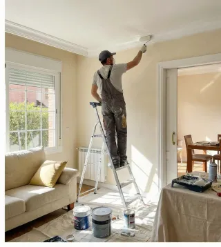 Busco trabajo como pintor. Juan 646 604026.