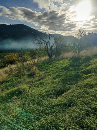 Terreno en Venta Torrecuevas Almuñécar 3000m²