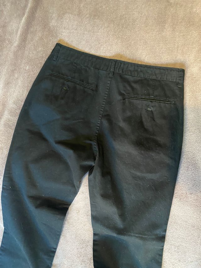 Pantalón chino nuevo Springfield hombre T44