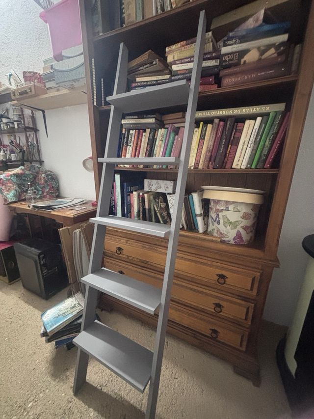 Estantería Escalera Madera y Plástico