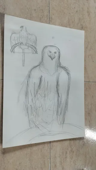 Dibujo antiguo a lápiz de águila