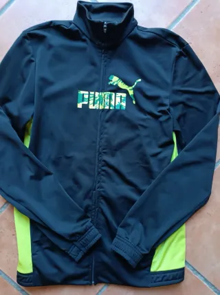 Conjunto deportivo Puma negro y verde