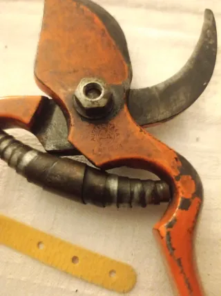 Tijeras de podar Austestana(la Rioja)