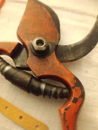 Tijeras de podar Austestana(la Rioja)