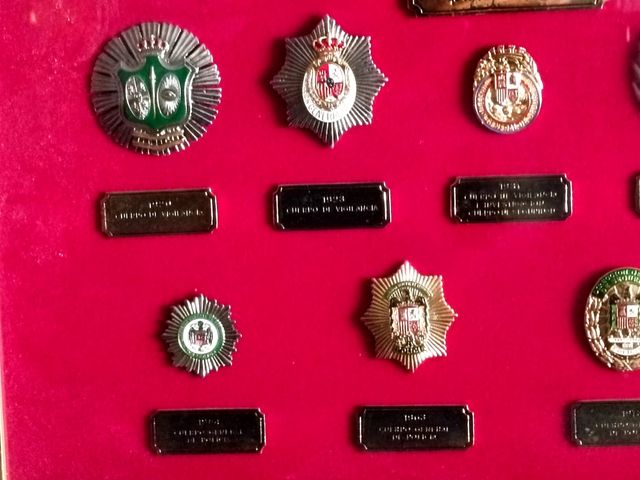 Collezione di targhe di polizia