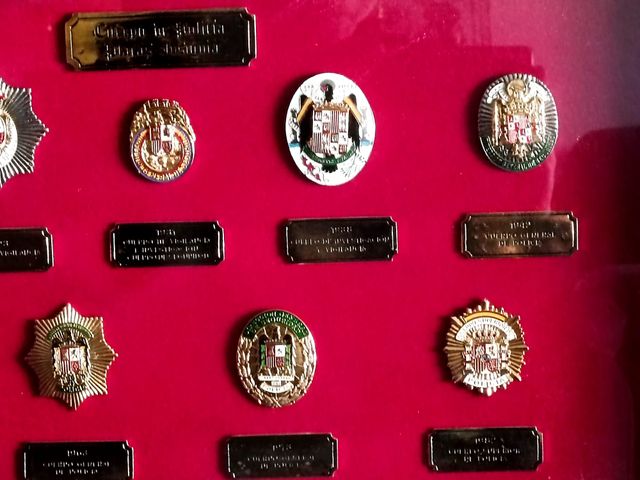 Collezione di targhe di polizia