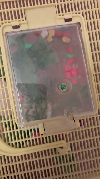 Pecera pequeña con decoración