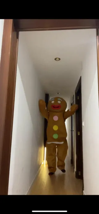 Disfraz Galleta Jengibre.