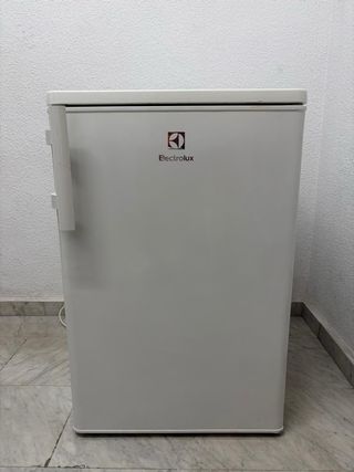 Frigorífico pequeño Electrolux