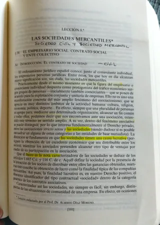 Lecciones de Derecho Mercantil (Spanish Edition)