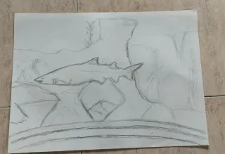 Dibujo a lápiz antiguo: Tiburón